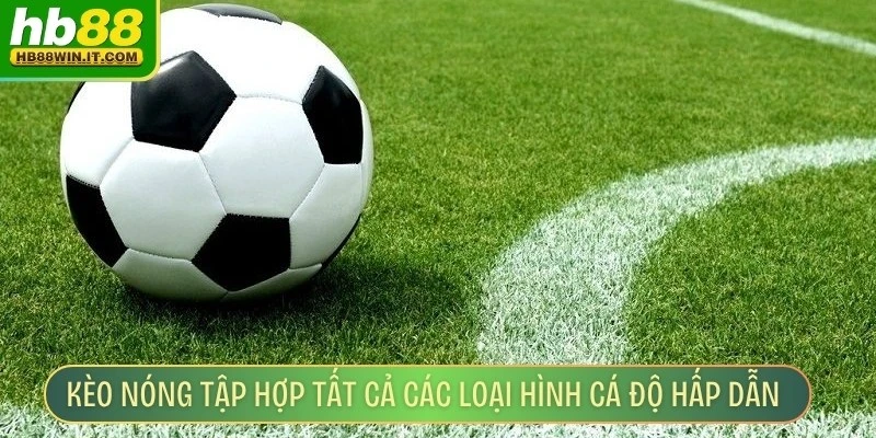 Kèo Nóng Mỗi Ngày - Hướng Dẫn Cách Và Phân Tích Đơn Giản Kèo nóng mỗi ngày tập hợp tất cả các loại hình cá độ hấp dẫn